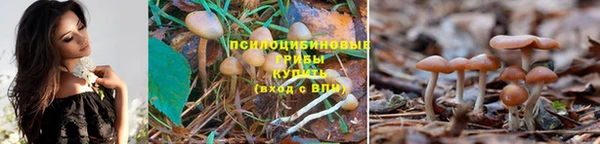 первитин Беломорск