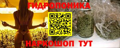 ПСИЛОЦИБИНОВЫЕ ГРИБЫ Вязники