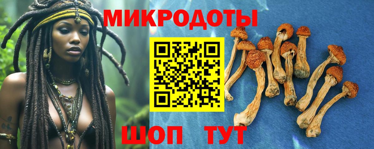 Великий Устюг  Псилоцибиновые грибы GOLDEN TEACHER  Псилоцибиновые грибы прущие грибы  Вход с VPN 